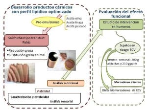 Desarrollo y valoración del efecto funcional de productos cárnicos 