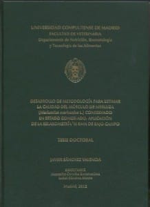 PhD Thesis Front