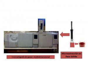 Extracción en Fase Sólida - Cromatógrafo de de gases multidimensional 