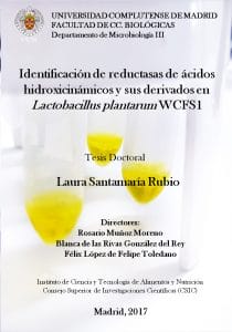 Portada tesis Laura Santamaría
