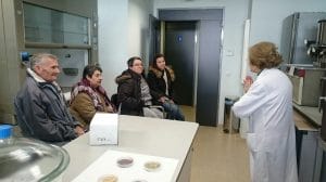 Gastrofestival