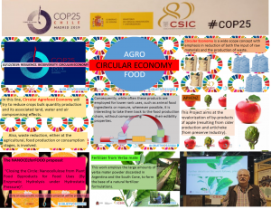 1 COP25