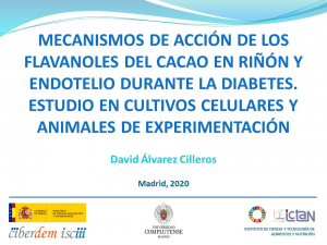 Tesis David Alvarez Cilleros