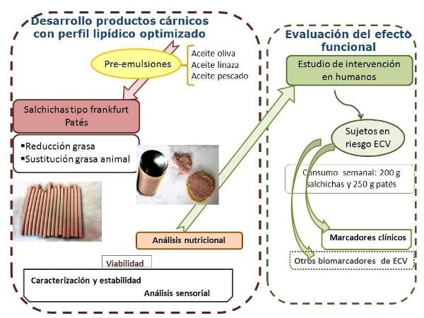 Development and assessment of meat products as functional foods.