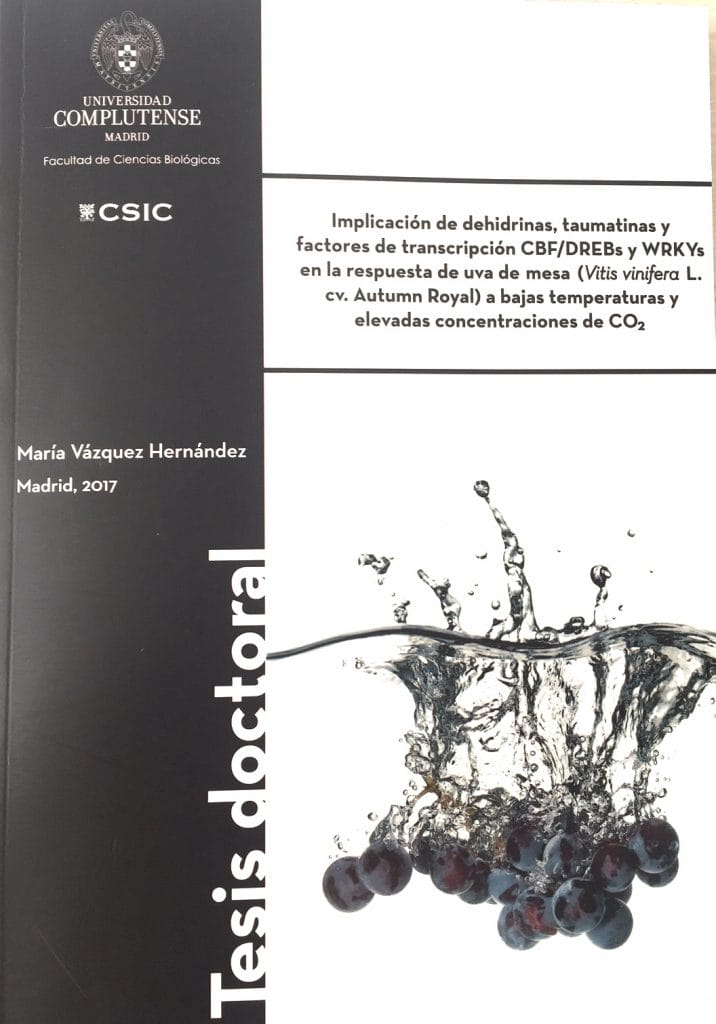 Tesis doctoral María Vazquez