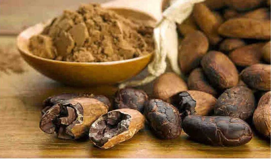 Cacao