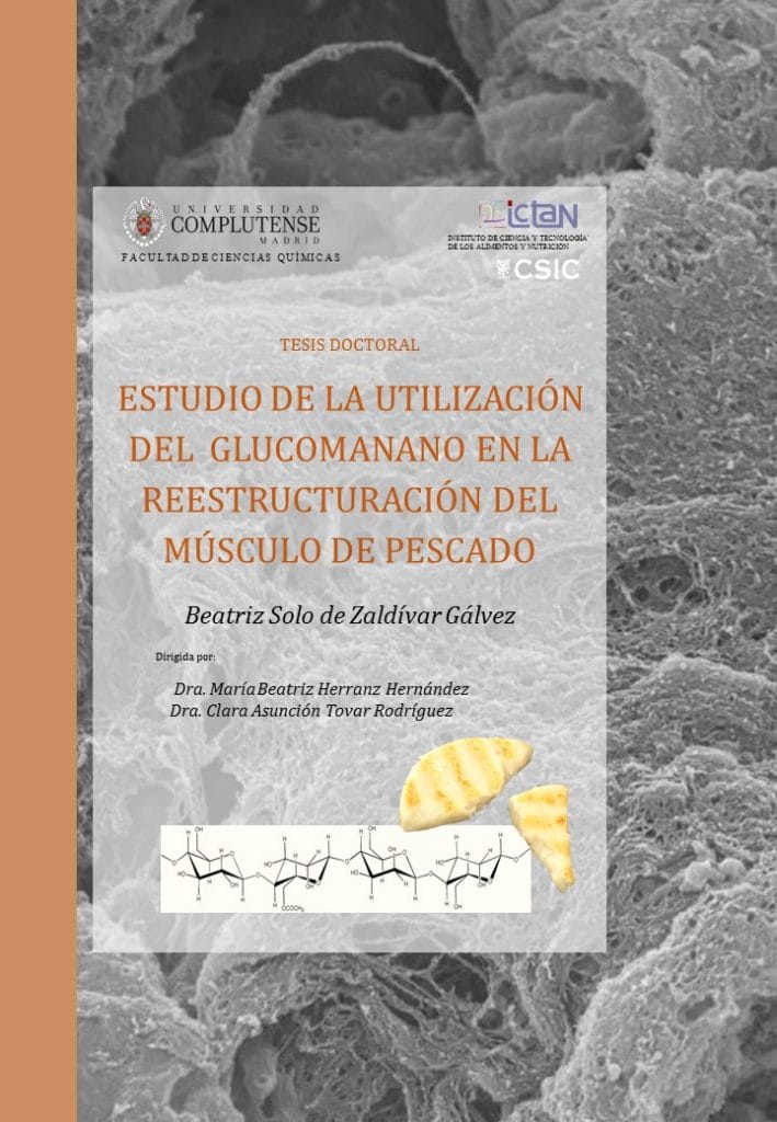 PORTADA Tesis Beatriz Solo de Zaldivar