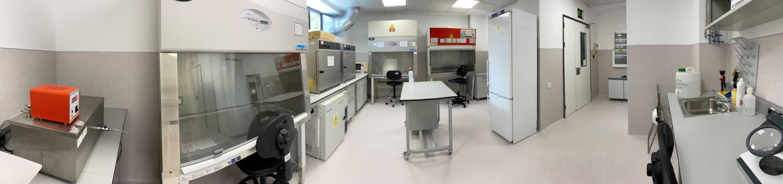 Laboratorio Microbiología NSB2